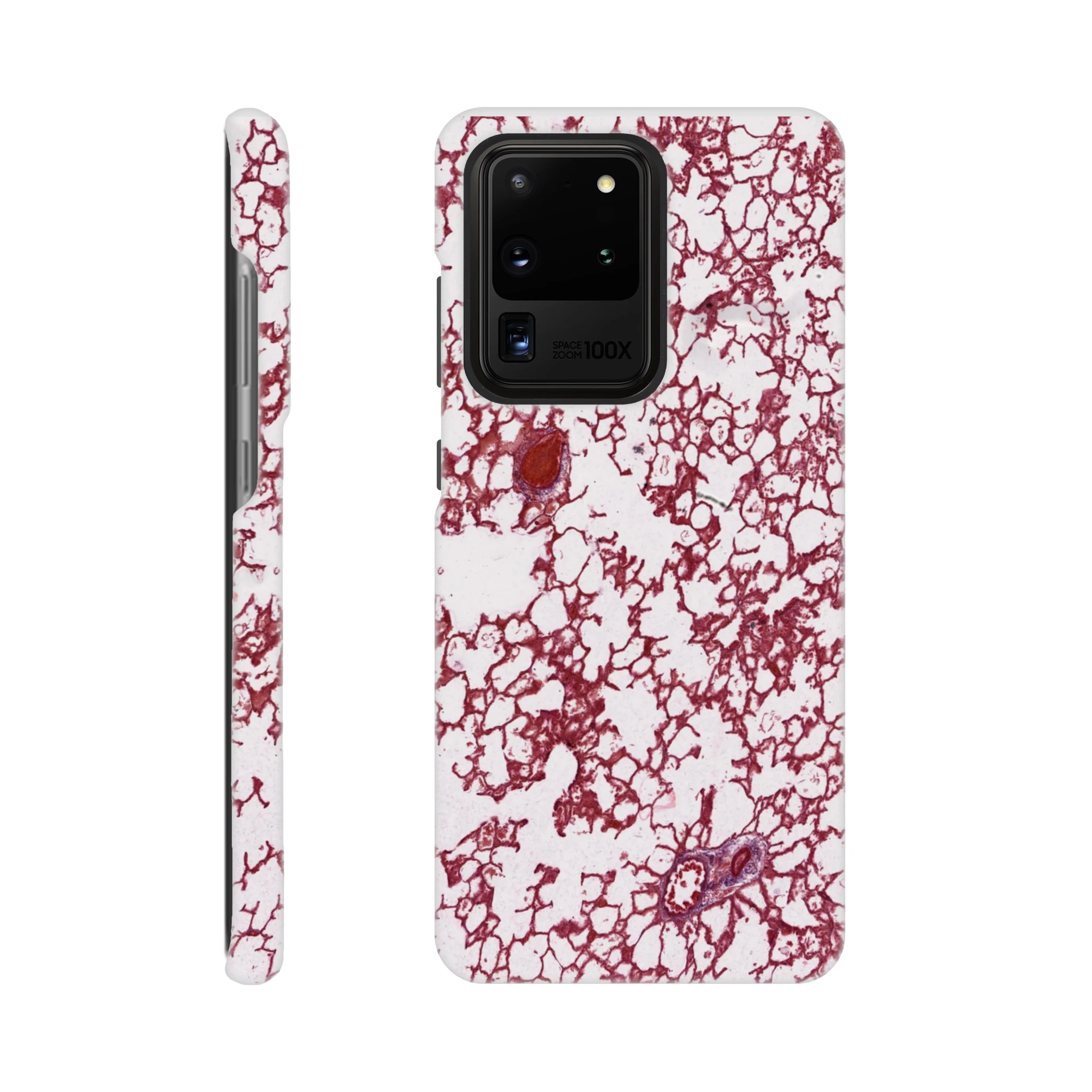 c9112499-1d68-4200-83d0-166df1669cd6