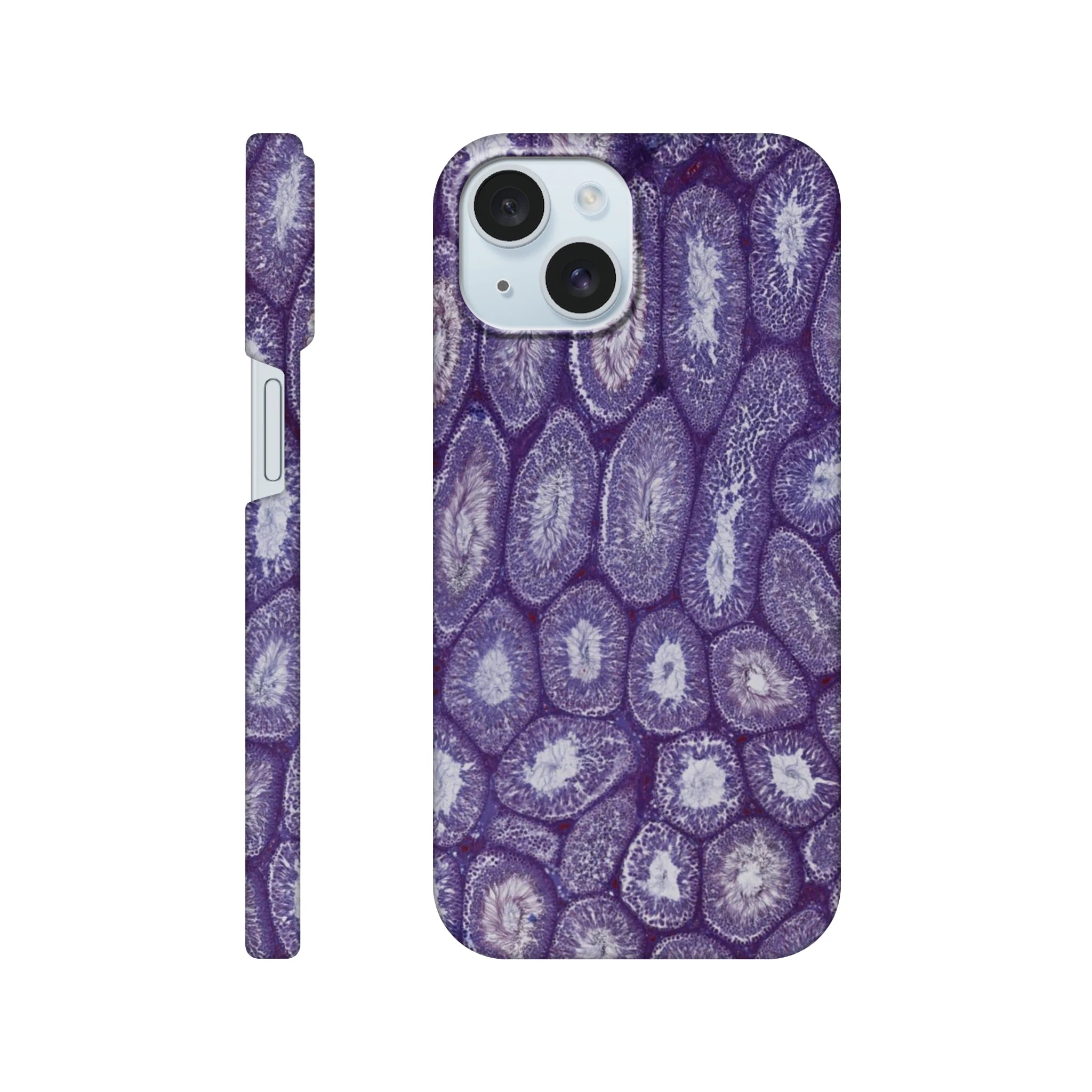 d14fa1b8-3749-44ee-94c7-ac141aa46877