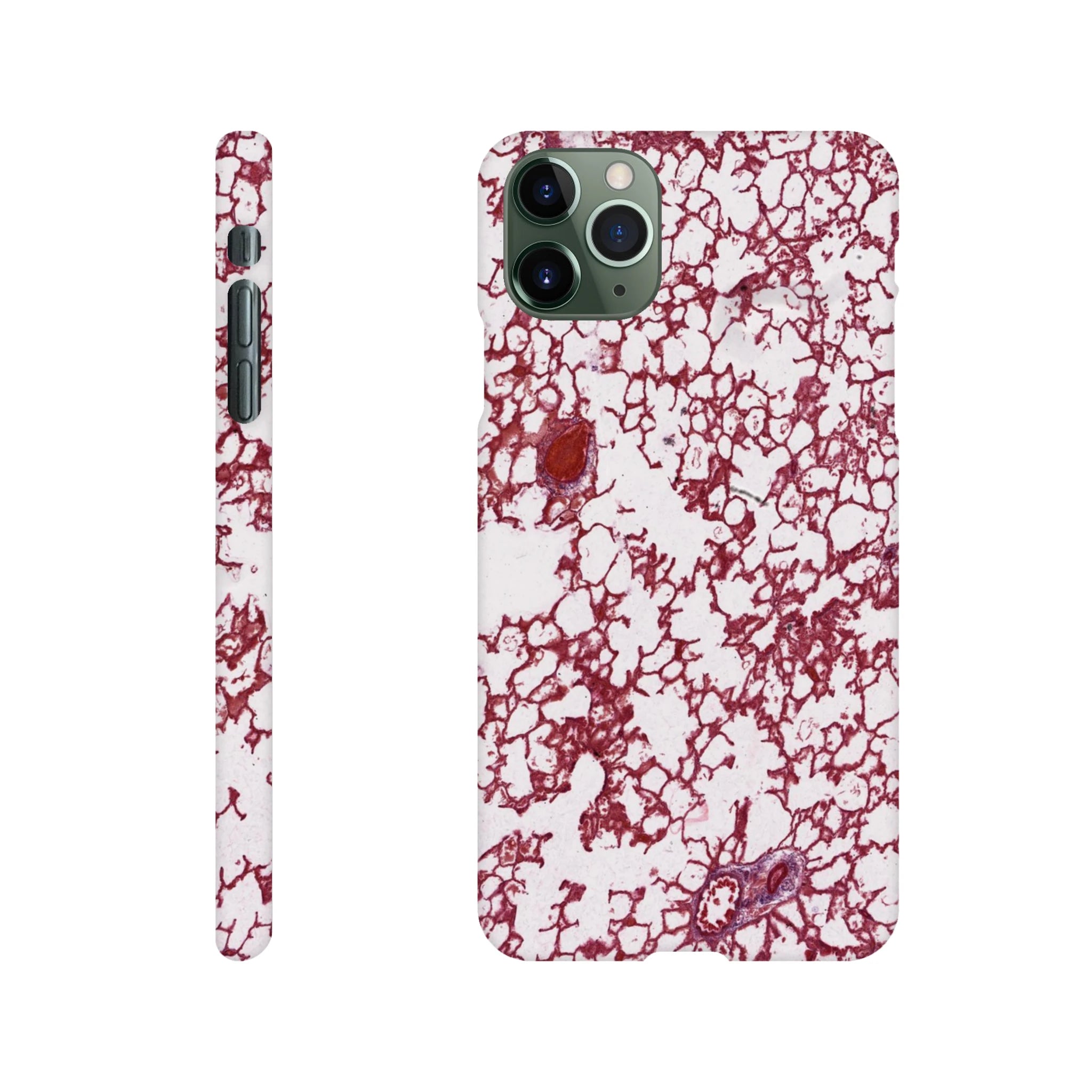 d26dc69a-480f-4a1d-ab85-c5bf514969ed