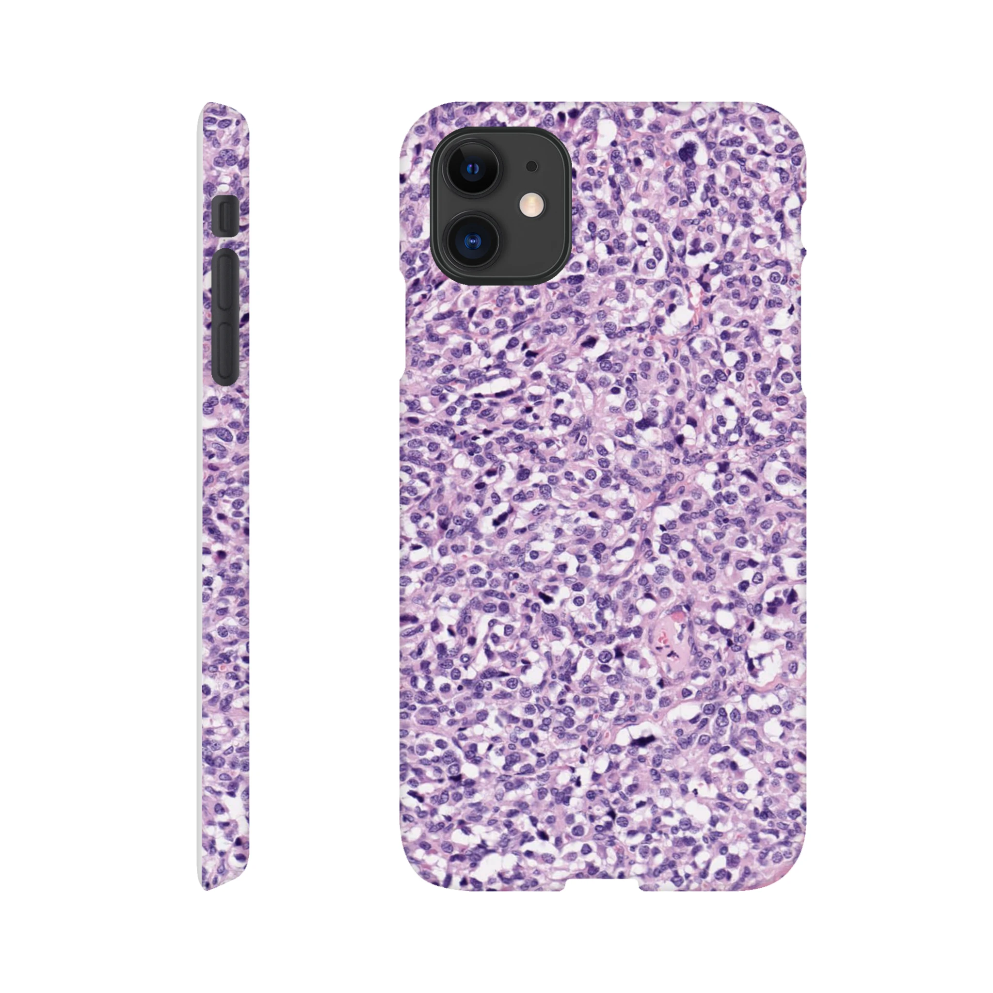 d2f039bb-af1f-4319-97f3-a2e25e06a1bb