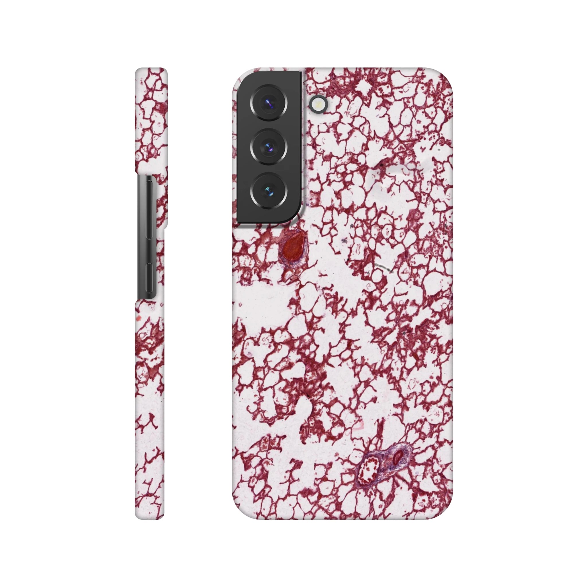 d377161e-3312-47fd-a060-1ad3b06036c2