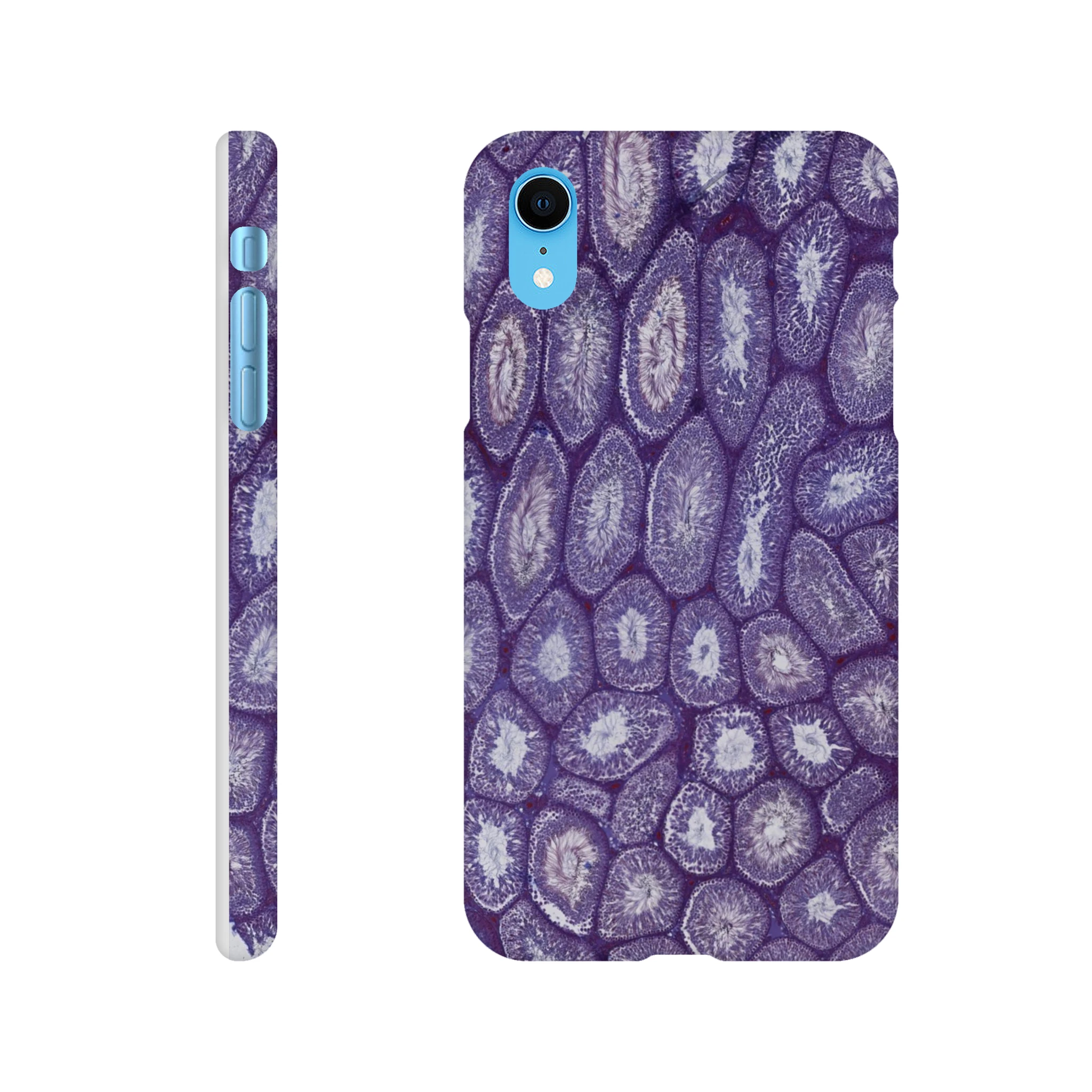 d69385ed-a90c-4673-92d5-4fa2a4303034