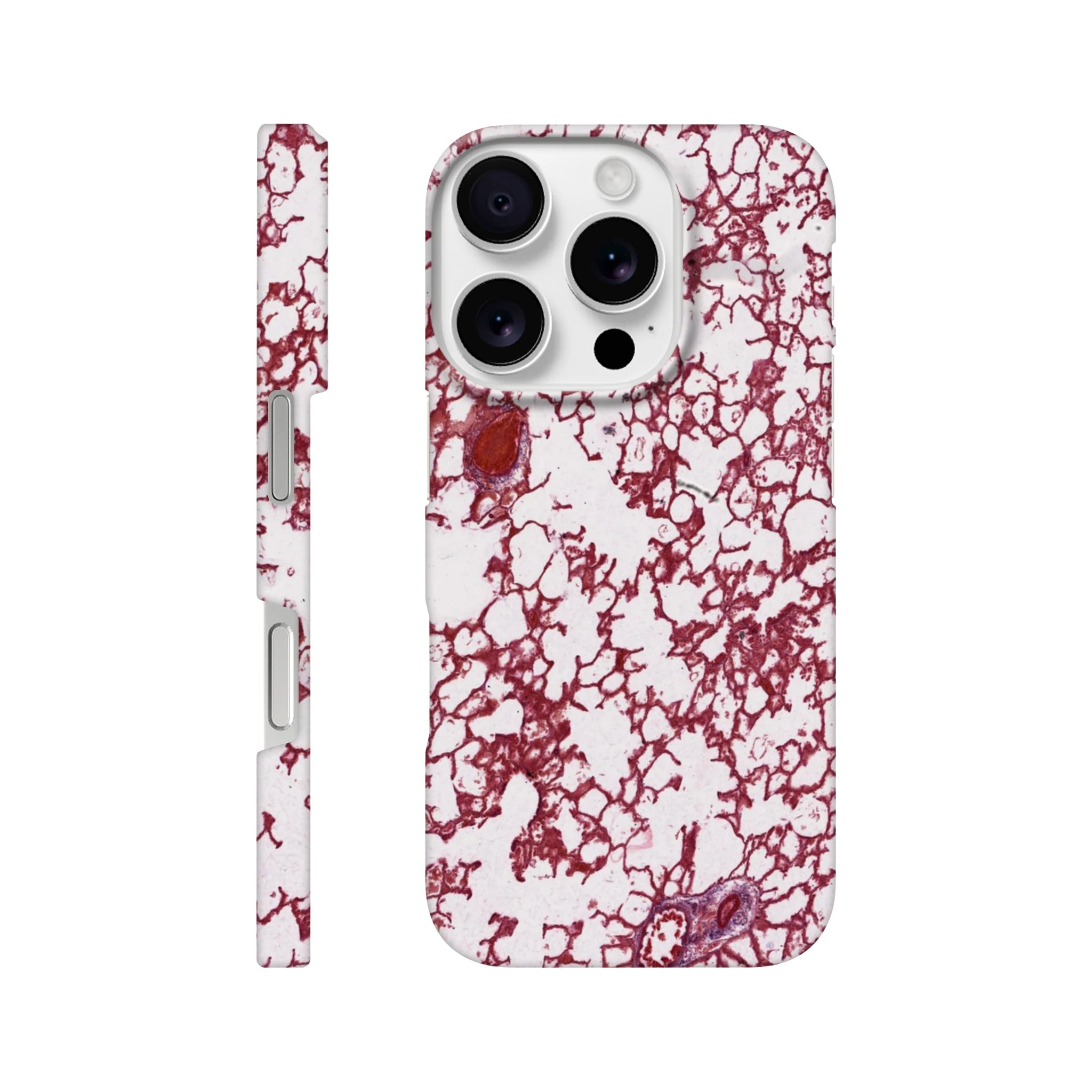 d89bac06-801f-4ca6-969d-daa5622de158