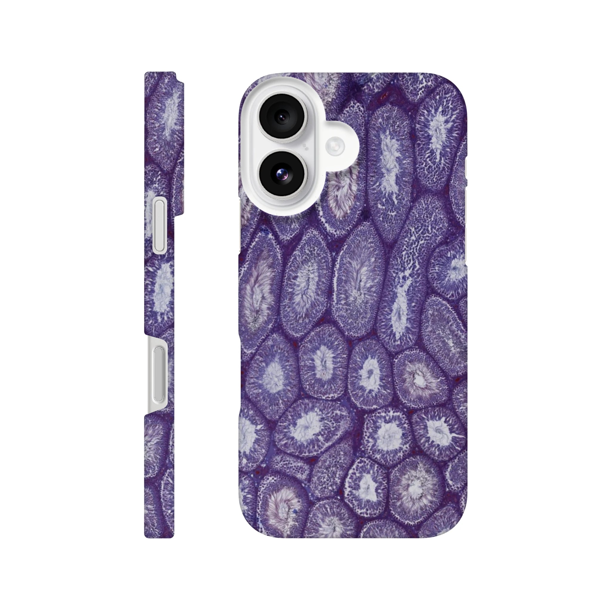 d912956e-1815-4722-ba33-76ccbba2af3a