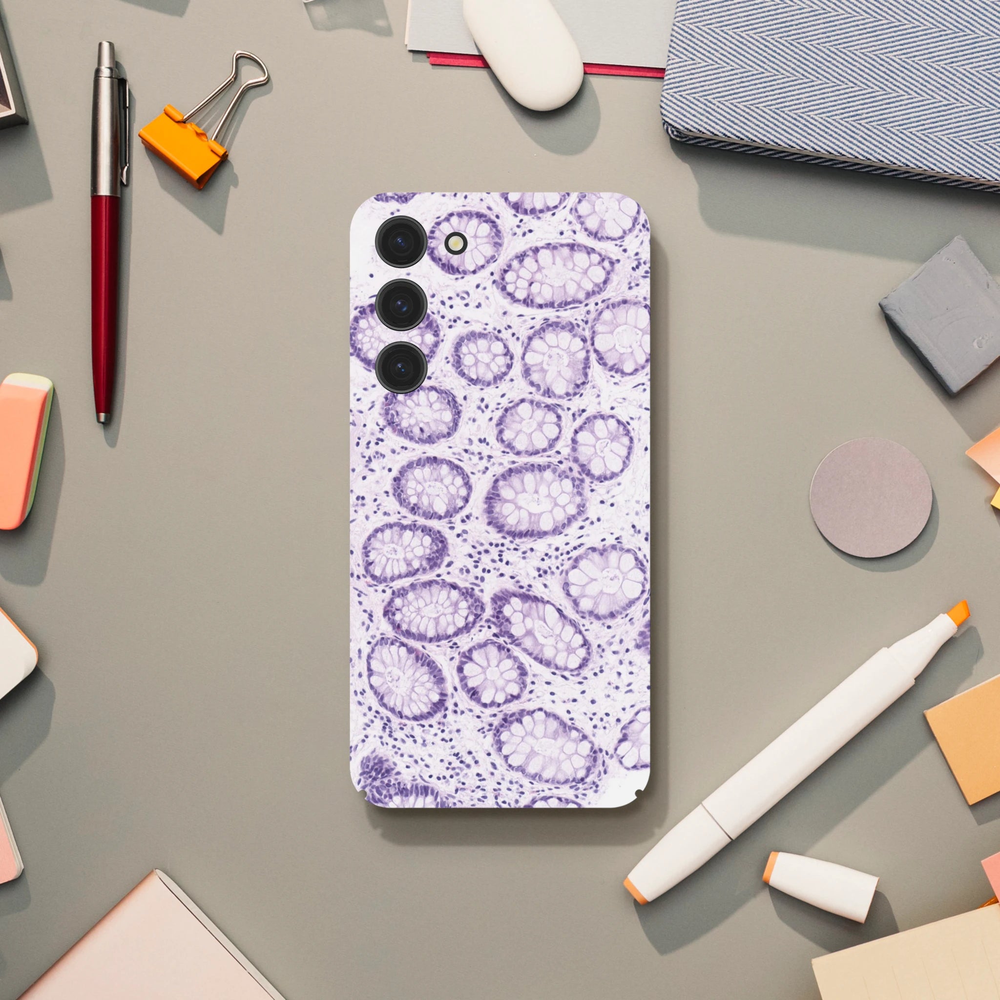 d9235421-4d9e-478d-904f-4a9fbe430d26