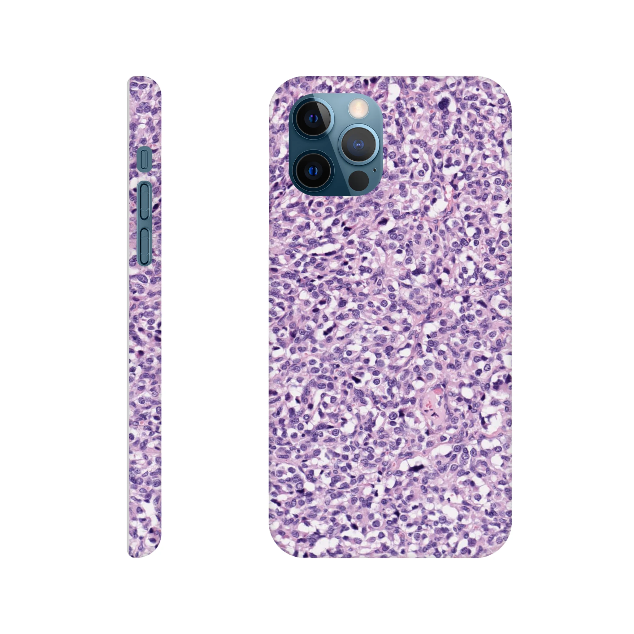 dbad8659-bd0c-461e-824b-cda0b3b70854