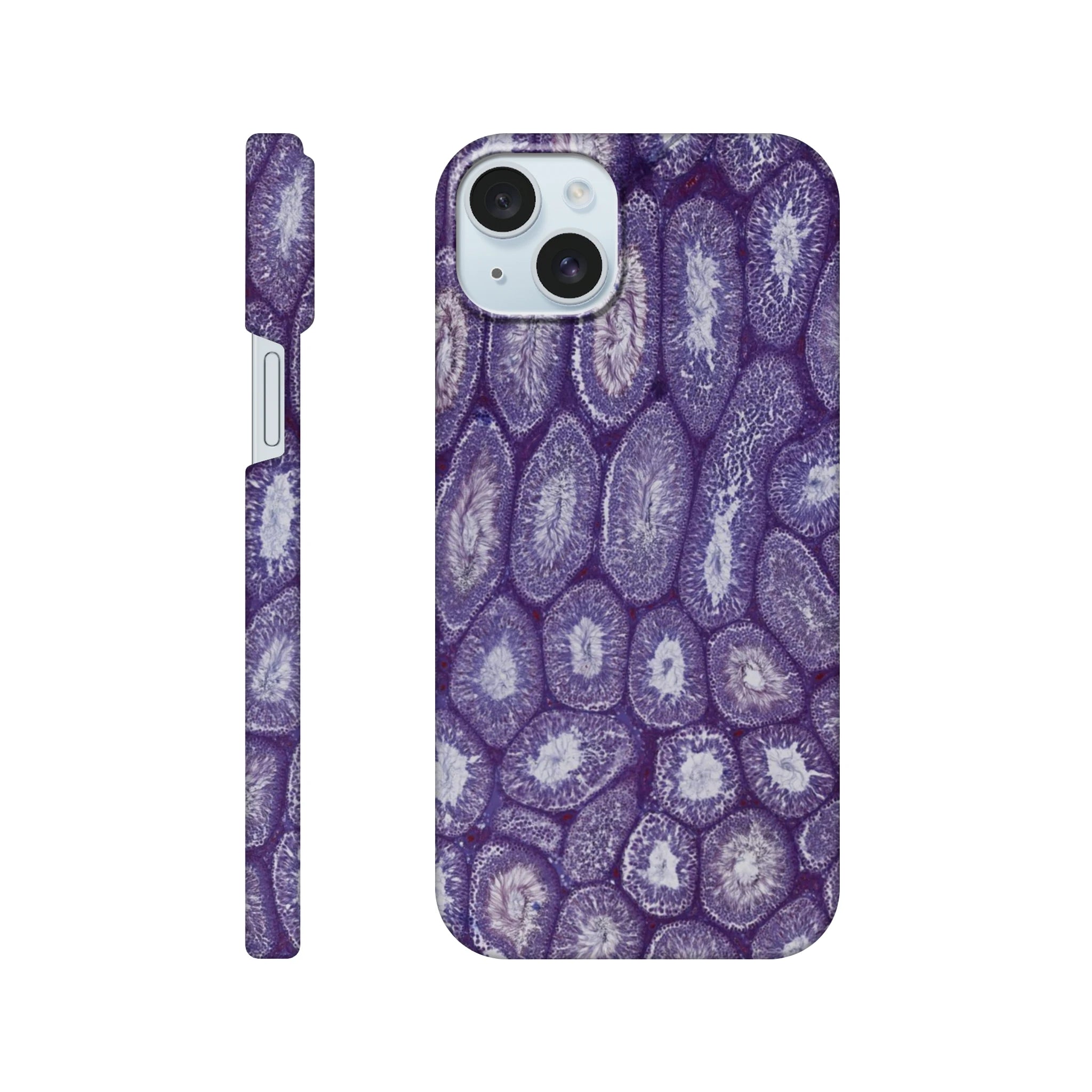 dddd5406-7530-4a5d-a9aa-ece531f35339