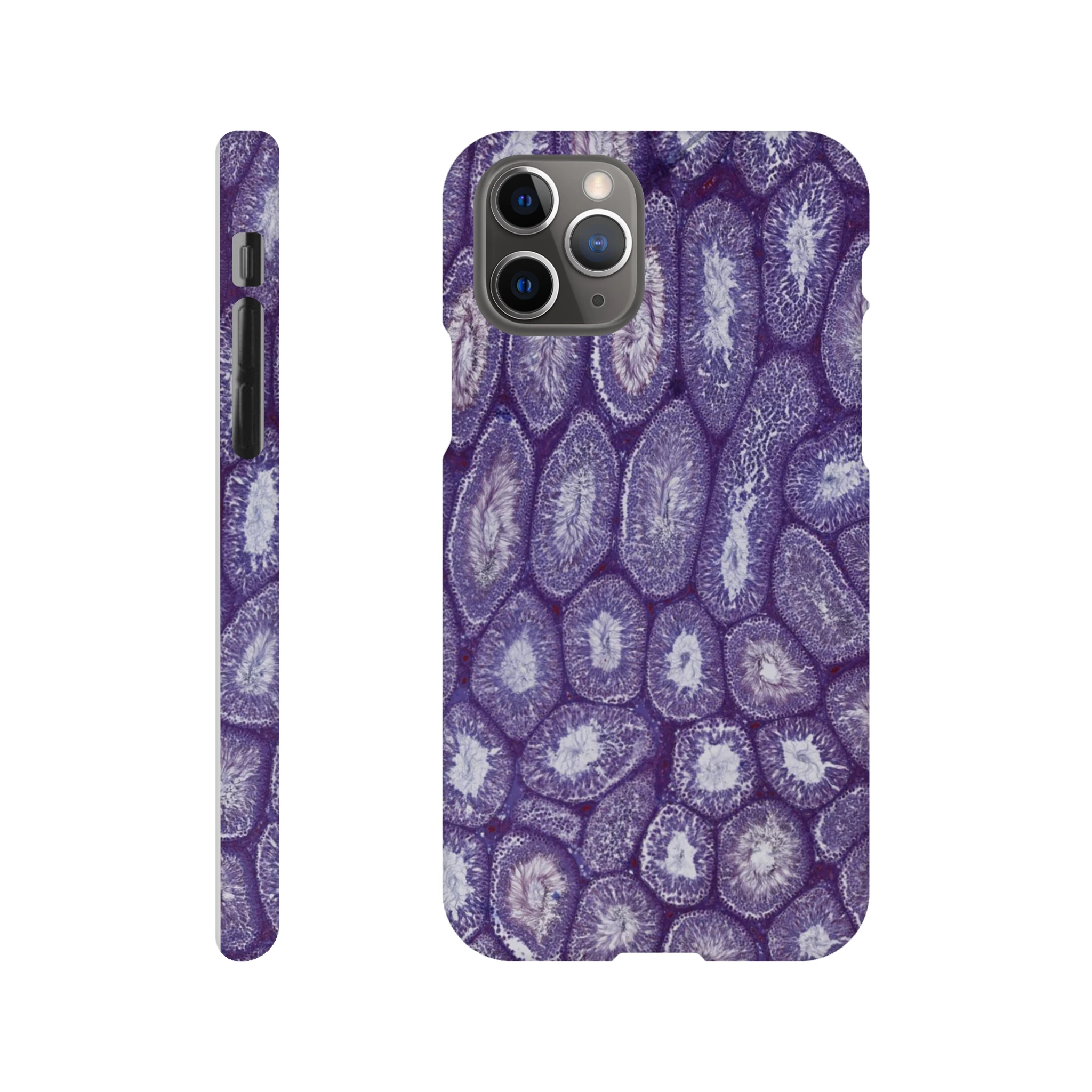 e1007db6-2c6d-48f8-b0a0-5ee8c844e645