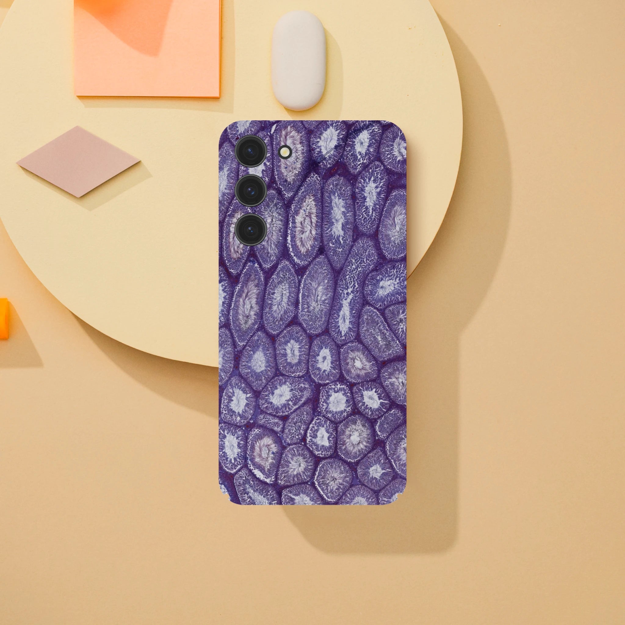 e12ee7d0-fbbb-4b75-a68f-b366c8dac49f