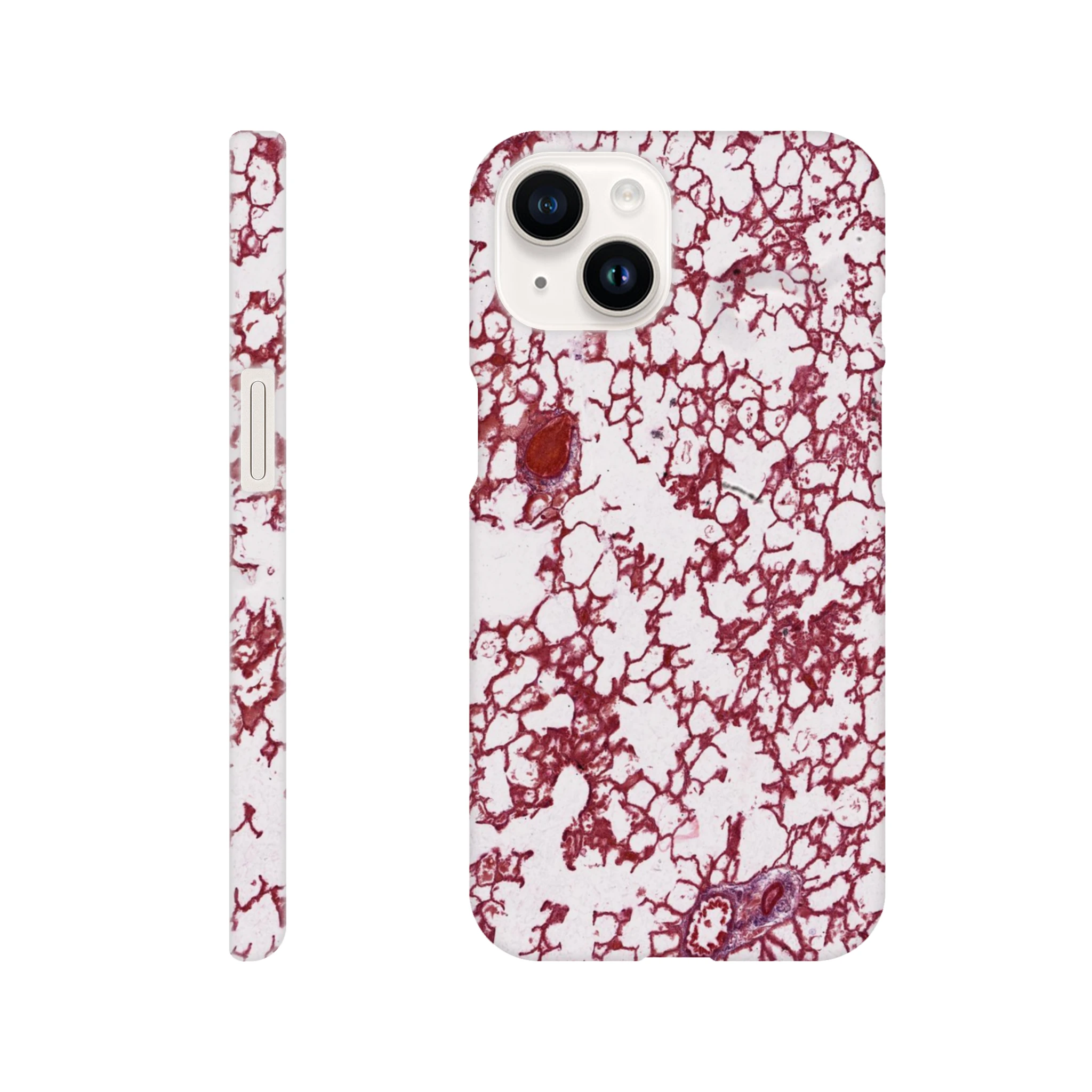 ec2d2b3a-0852-4ddc-b162-d9e68813bf06