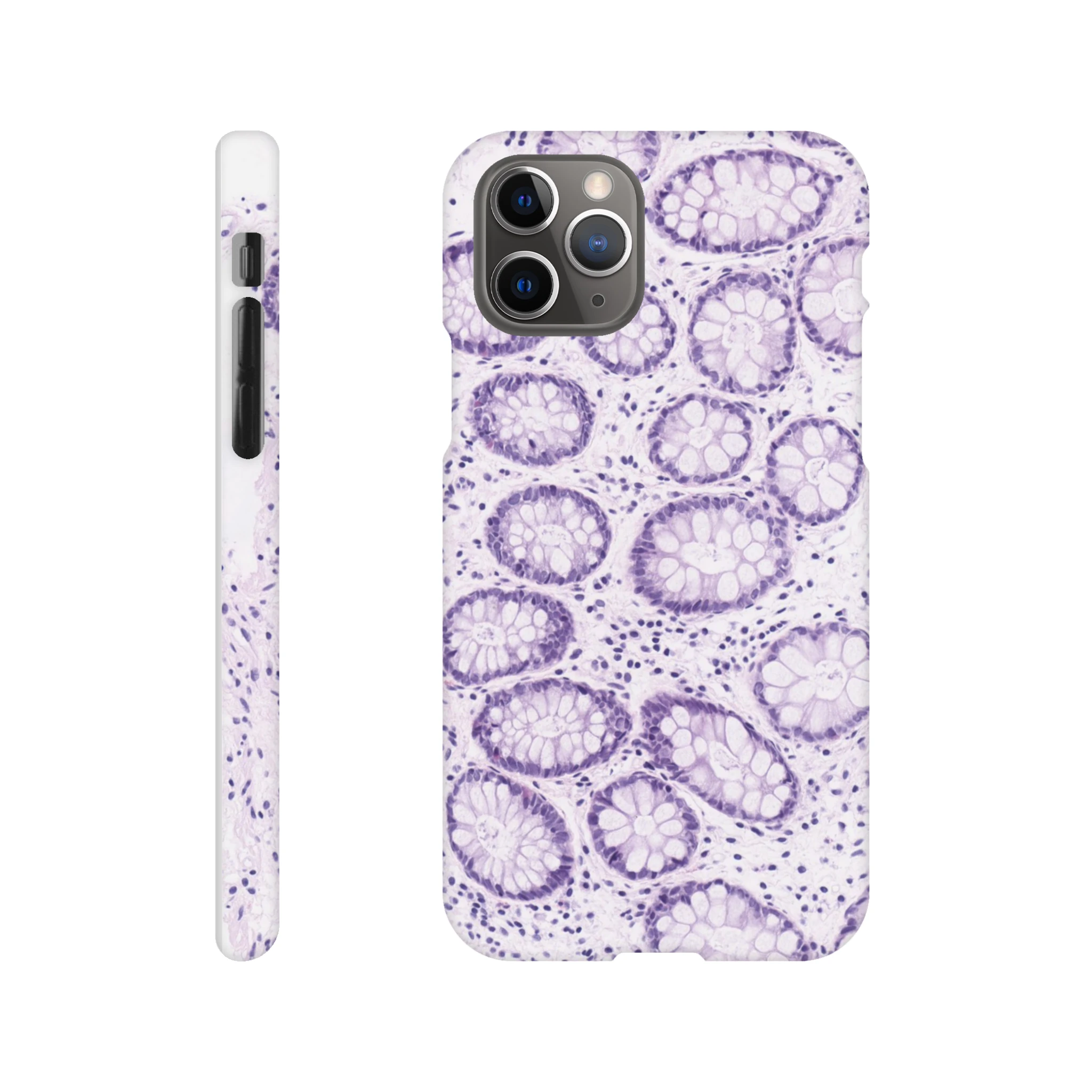 ef139144-4491-464c-8dd5-461ee49958e0