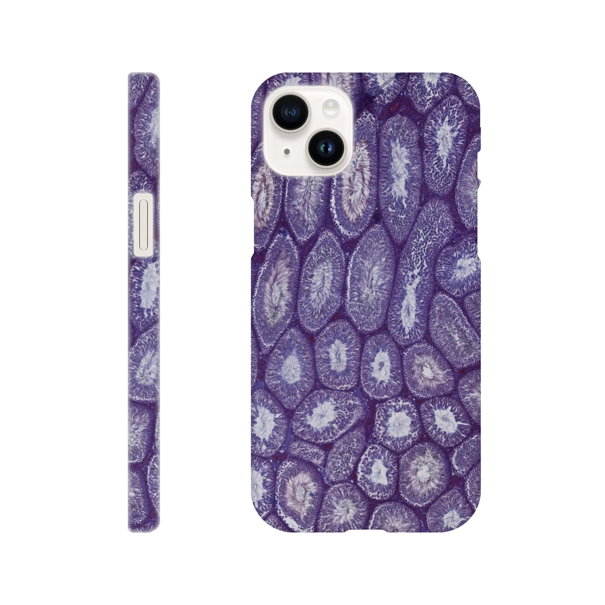 f49611b2-b6d1-45d6-aa19-964bd4345118