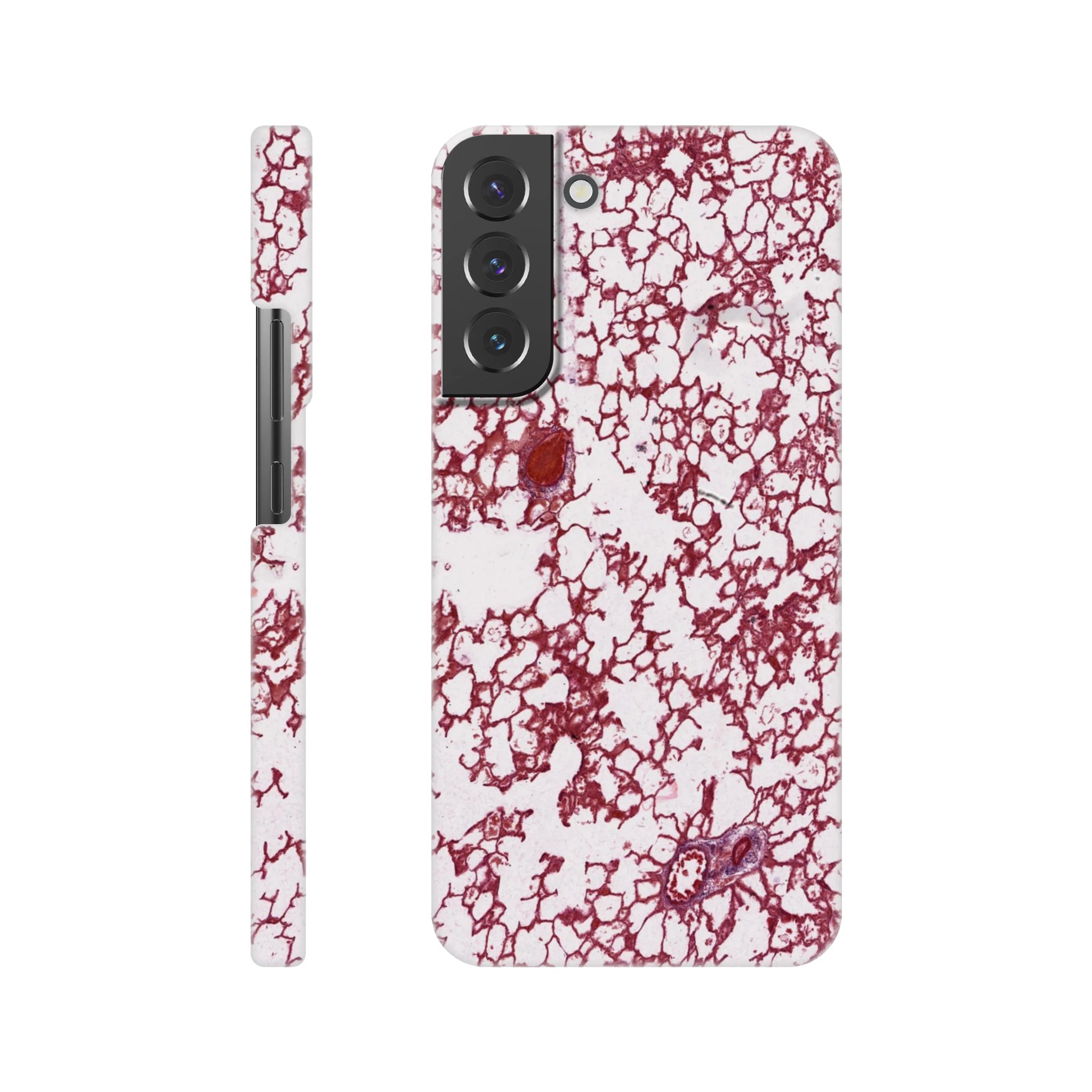 f88a29e9-4cc2-474f-8565-1f0ea6e61fd0