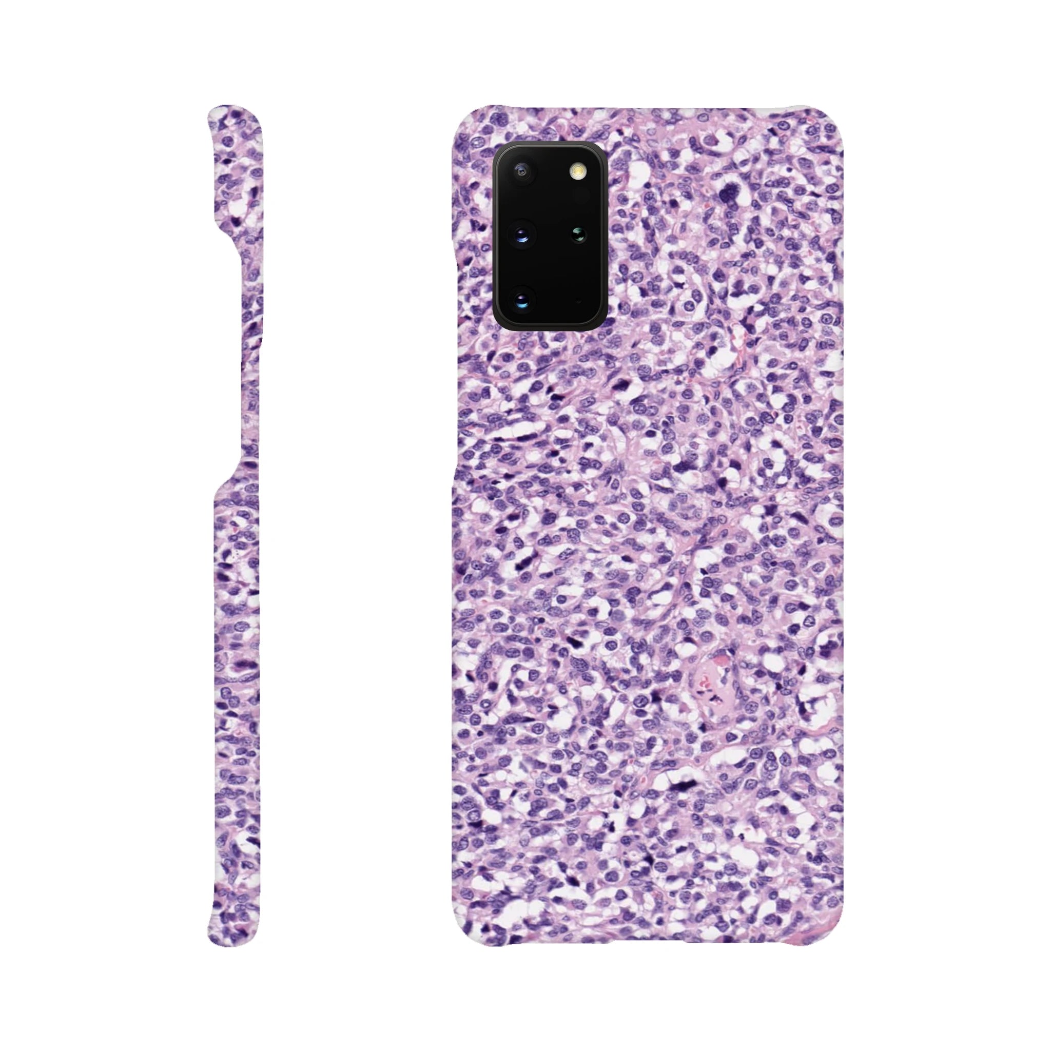 f9d3d794-1b51-4006-b80f-e2a5b3cfc282