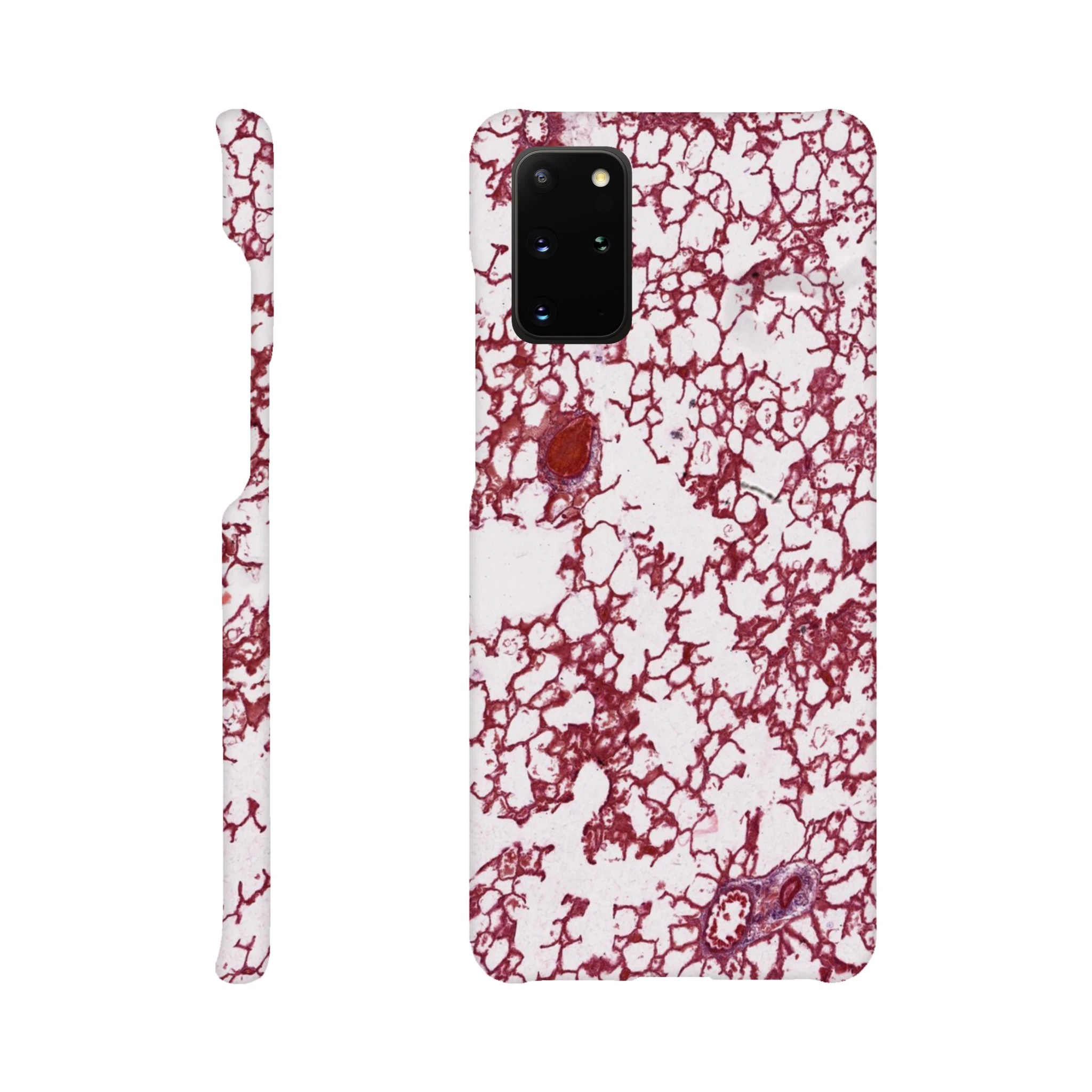 fbd0150a-7a79-44d7-8b48-dfe1212d385d