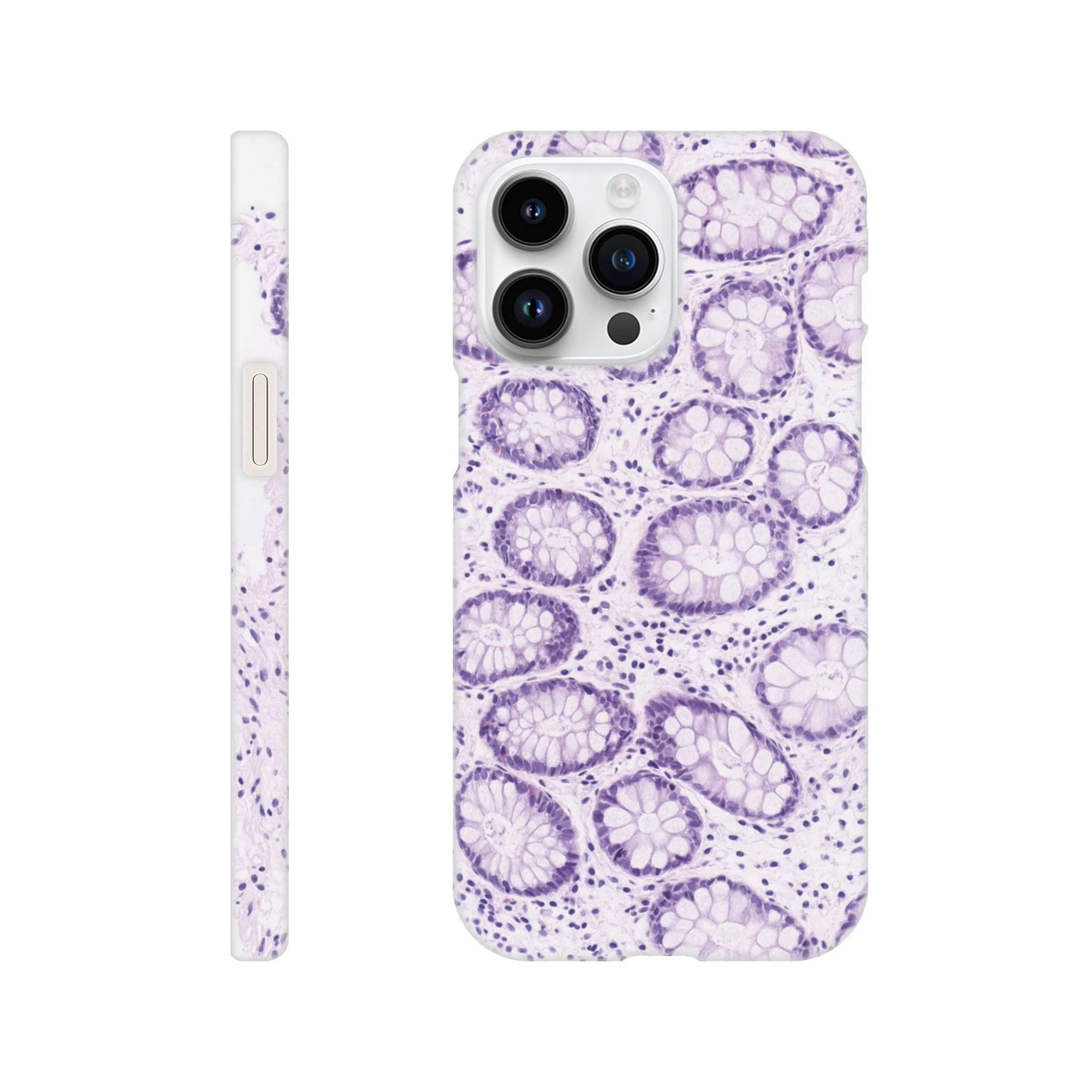 fc32b49e-920b-4dbb-91c0-8f00cc0d50e5