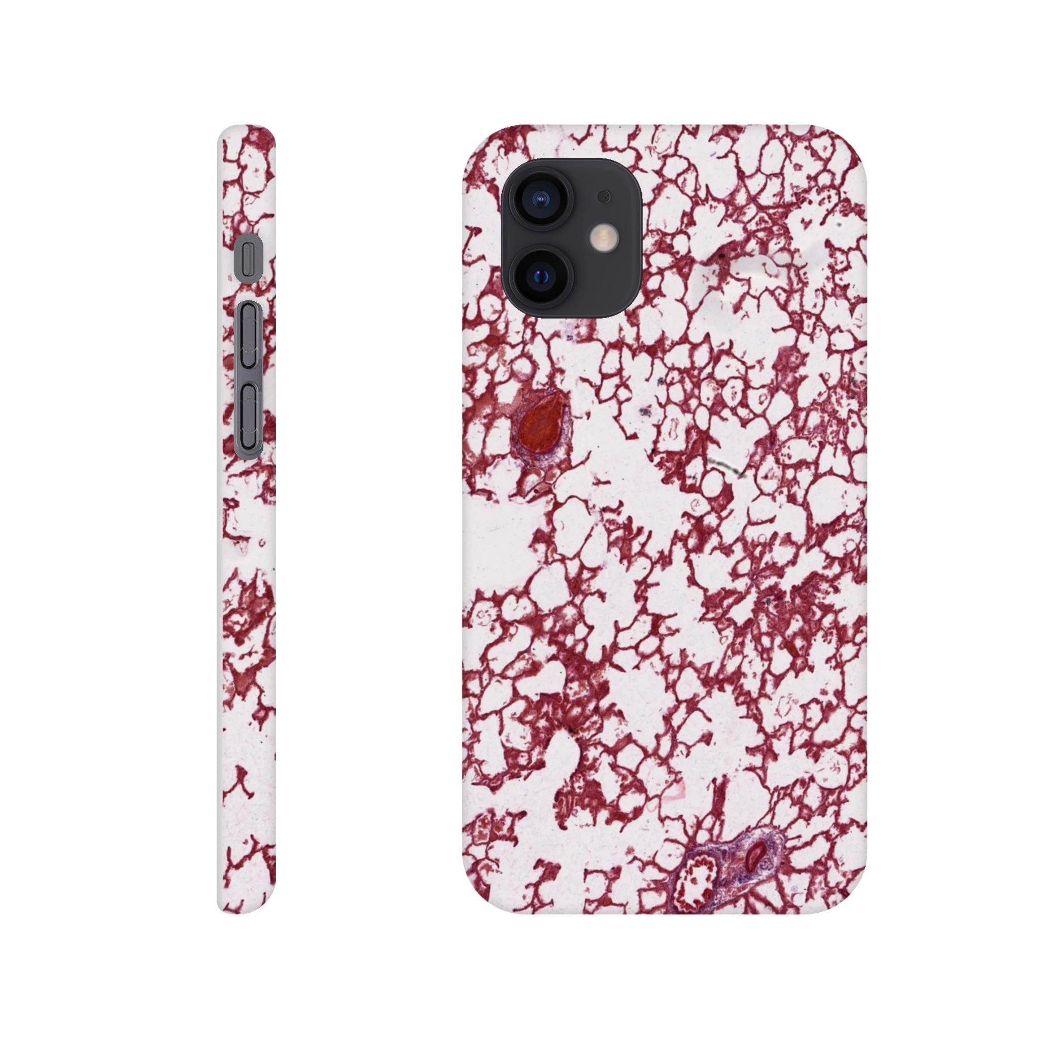 ff54877d-c2df-406f-9845-386179e9164f