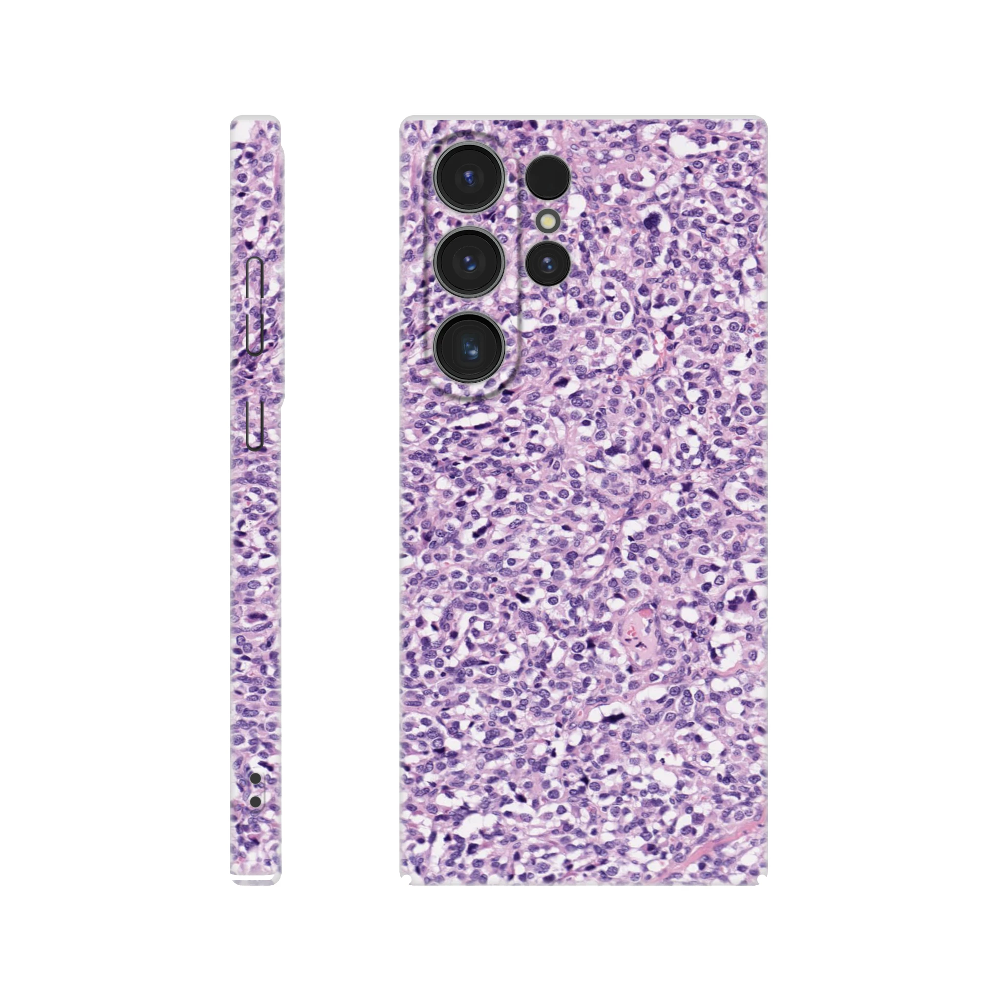 ffa1eed3-ef6f-4c71-992d-f69892b5cb32